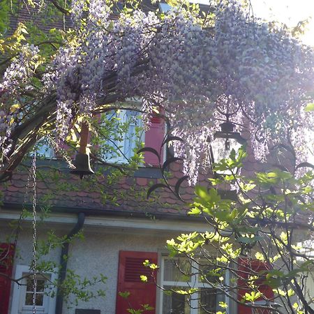 Pension Zur Rose Weil am Rhein Kültér fotó